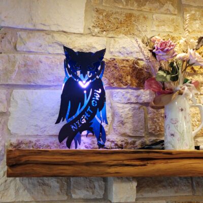 Custom Metal Art 3D Owl Lamp Personalized Name - HCS MetalWorks Waco, Texas